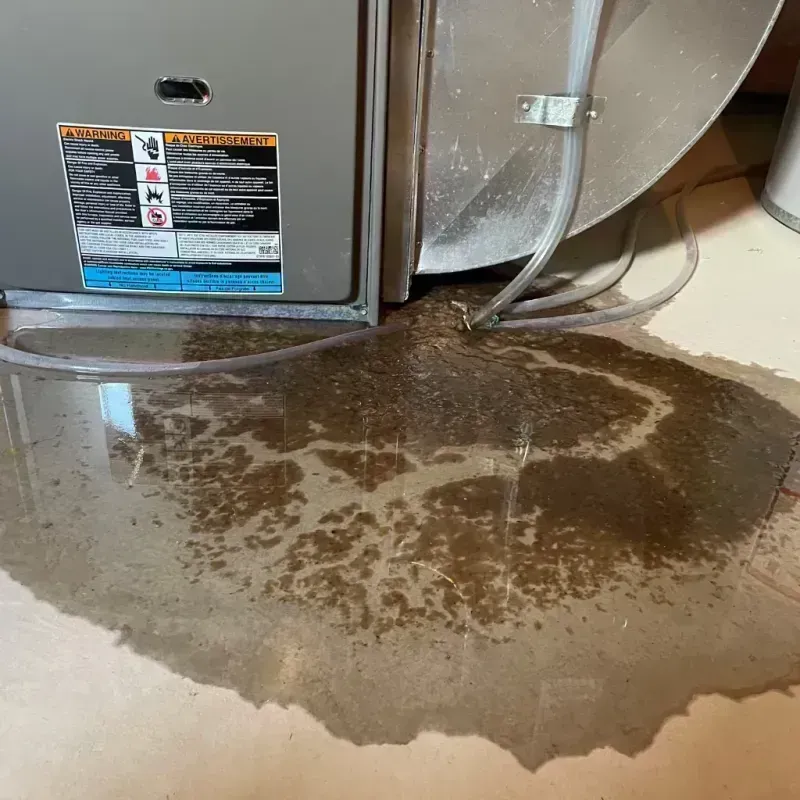 Appliance Leak Cleanup in Lusby, MD